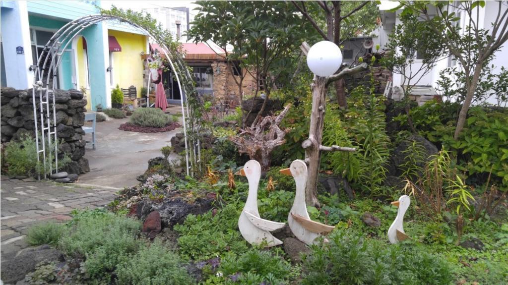 Jaun Guesthouse Seogwipo Zewnętrze zdjęcie