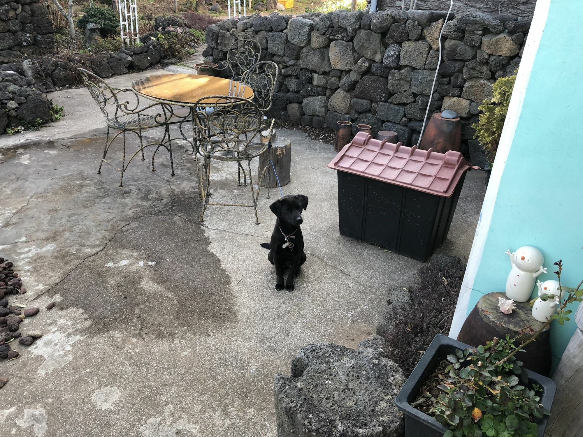 Jaun Guesthouse Seogwipo Zewnętrze zdjęcie